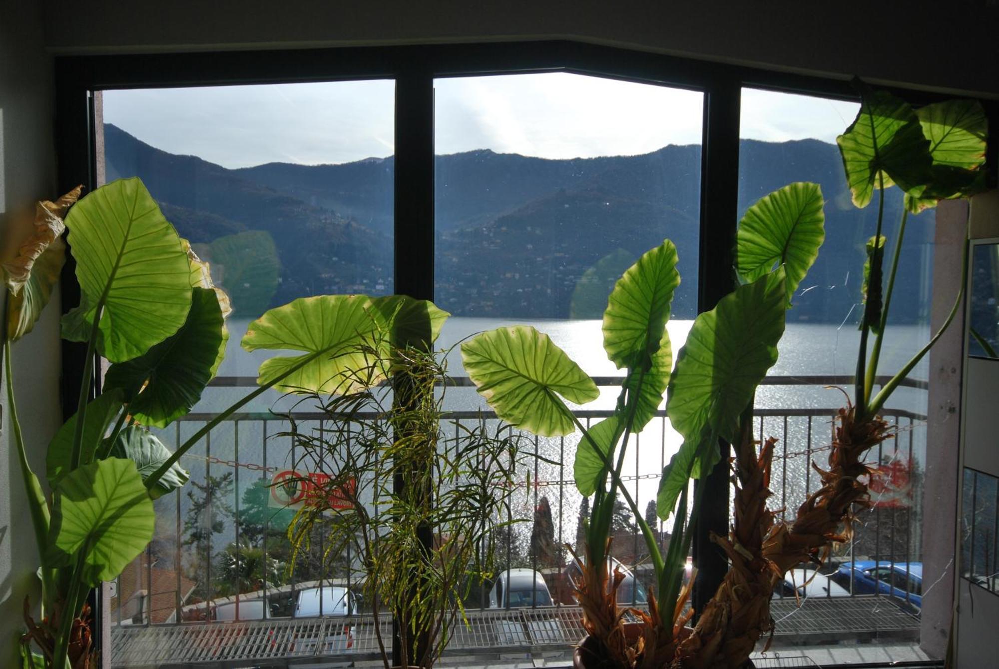 Apartamento Andrea Olga House Laglio Exterior foto